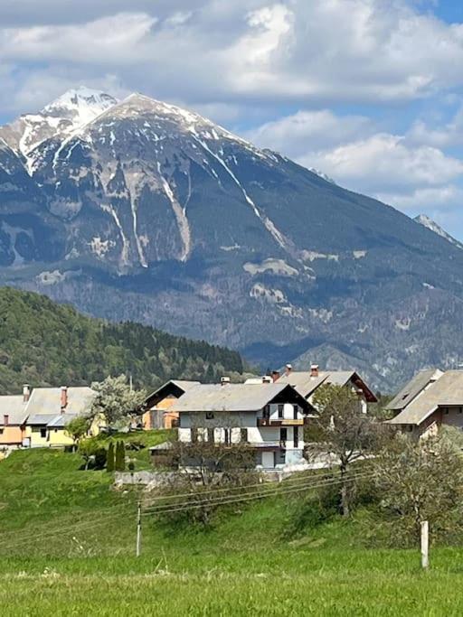 Mountain Vista Apartment Bled Eksteriør billede